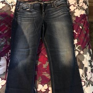 Plus Size Silver Jeans